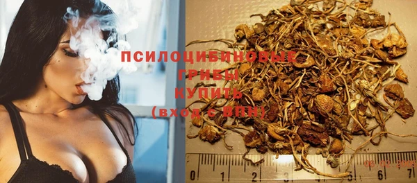 ALPHA PVP Белокуриха