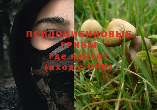 ALPHA PVP Белокуриха